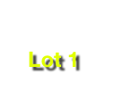  Lot 1
